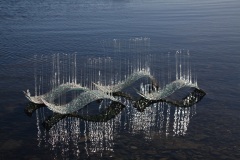 Sea-1-–-koopia