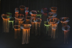 Türn-Red-Rain