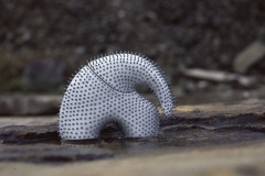 055-y1at_nosey3