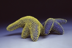 071-y18-Anne-aTprnat_yellowblue