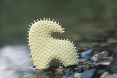 4698