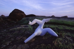094-at_leap