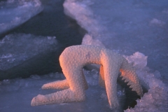 4046