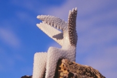 4232