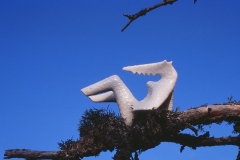 4306